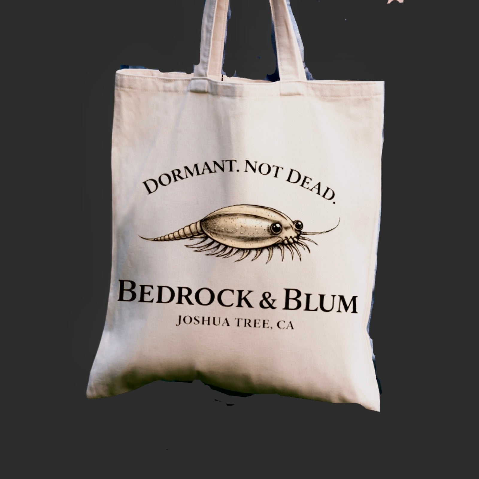 Desert Graphic Canvas Tote | Bedrock & Bloom