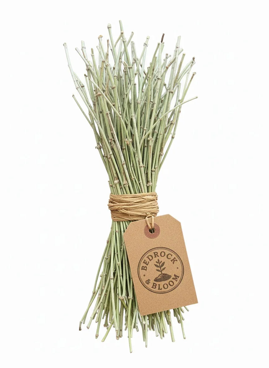 Bundle of dried herbal twigs tied with twine, labeled Bedrock & Bloom, on white background.